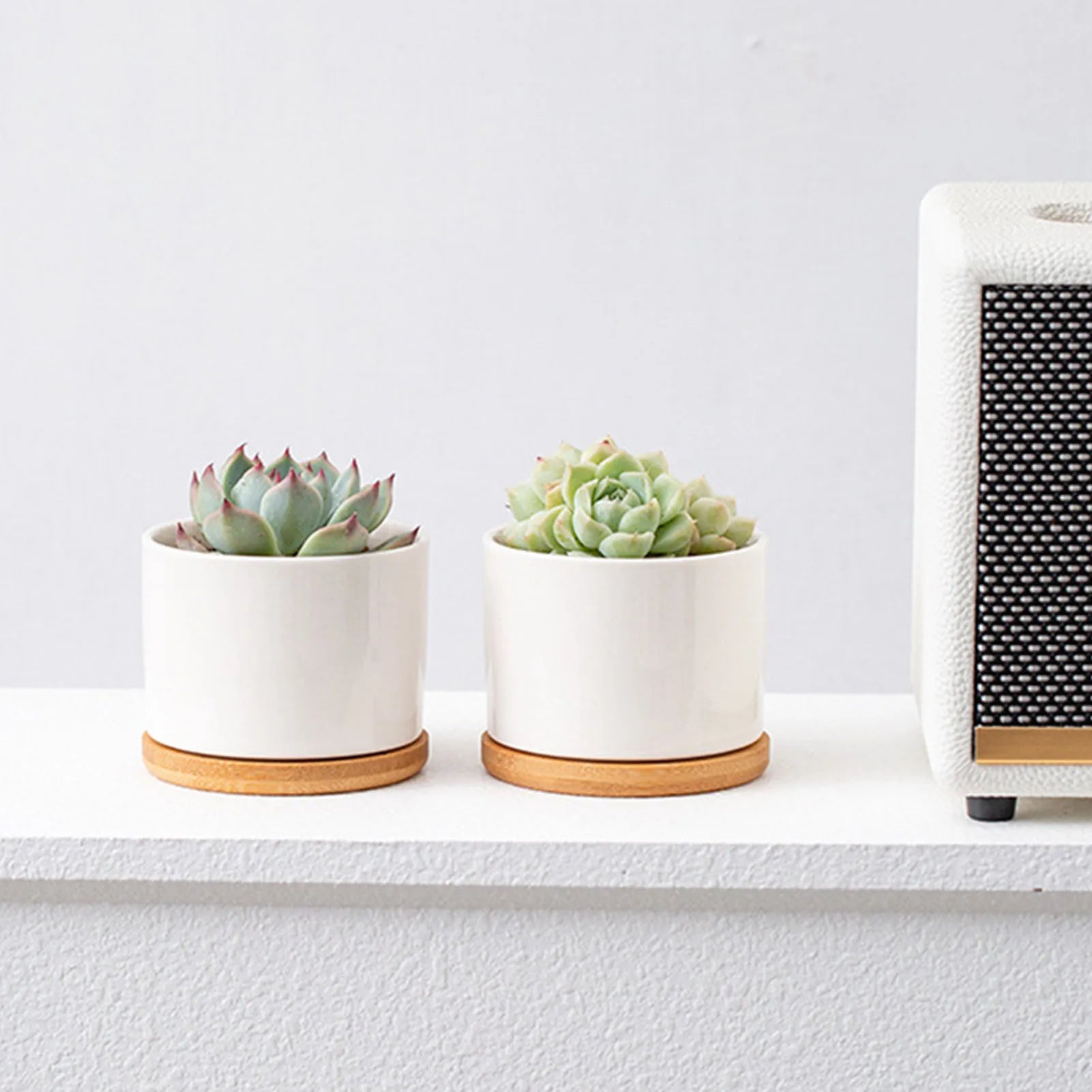 Mini-Pot en Céramique "Éclat" – L'Écrin pour Succulentes