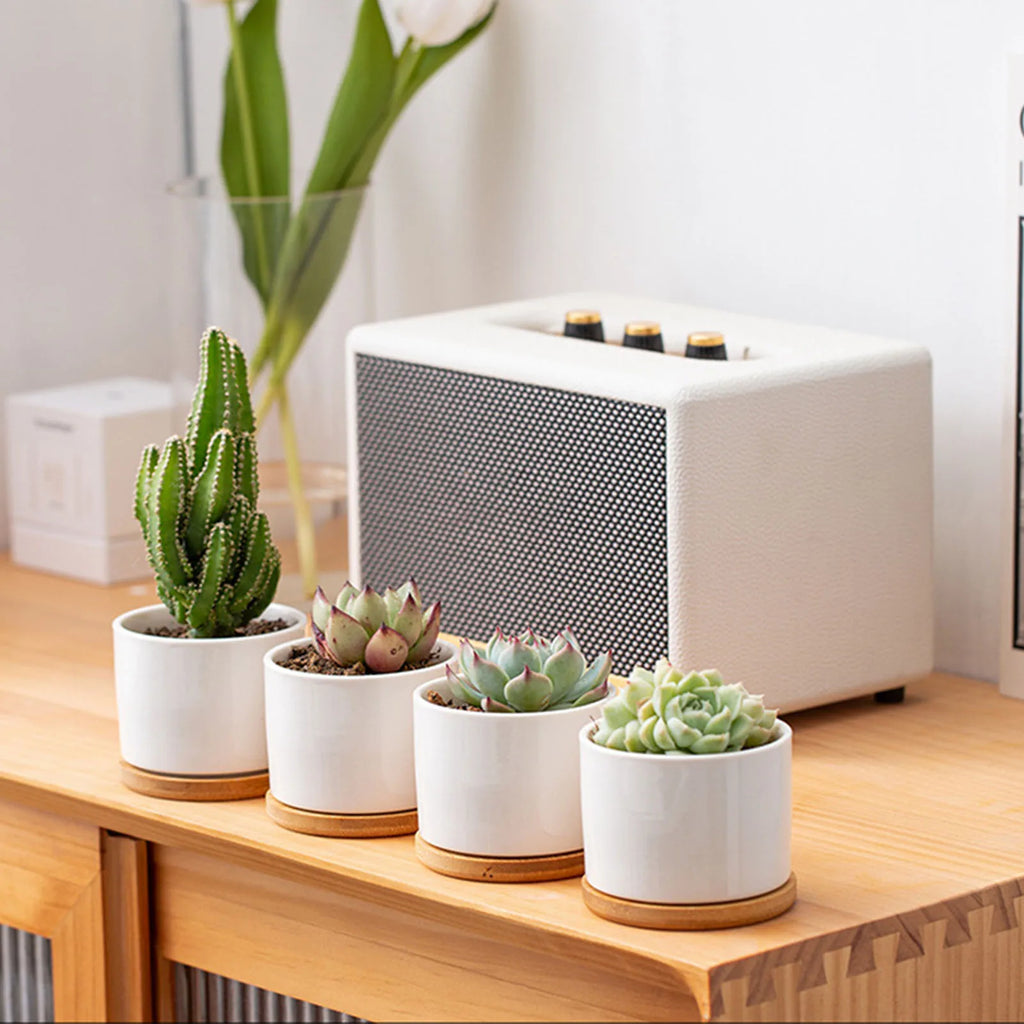 Mini-Pot en Céramique "Éclat" – L'Écrin pour Succulentes