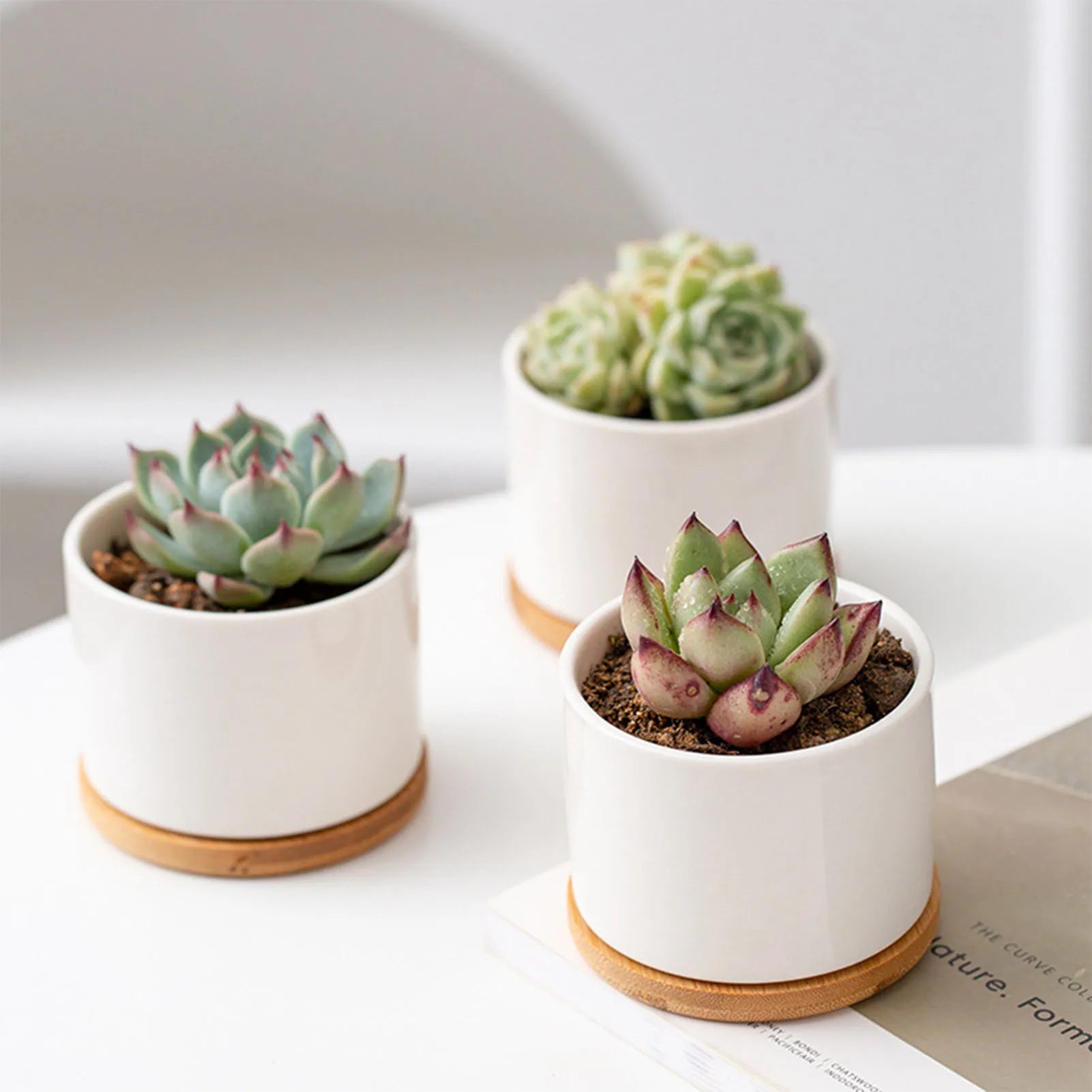 Mini-Pot en Céramique "Éclat" – L'Écrin pour Succulentes